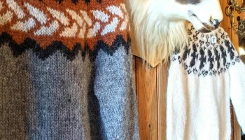 Valdalaekur Wool and Things - 531 Vestur