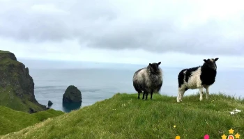 Ystiklettur - Ísland