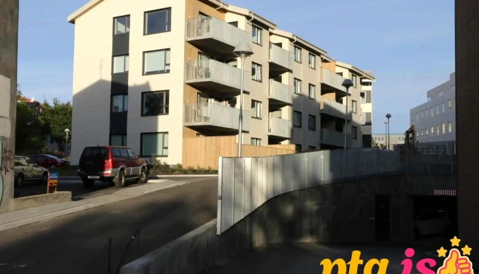 Afl Starfsgreinafelag Orlofsibudir Naerumhverfi - Reykjavík