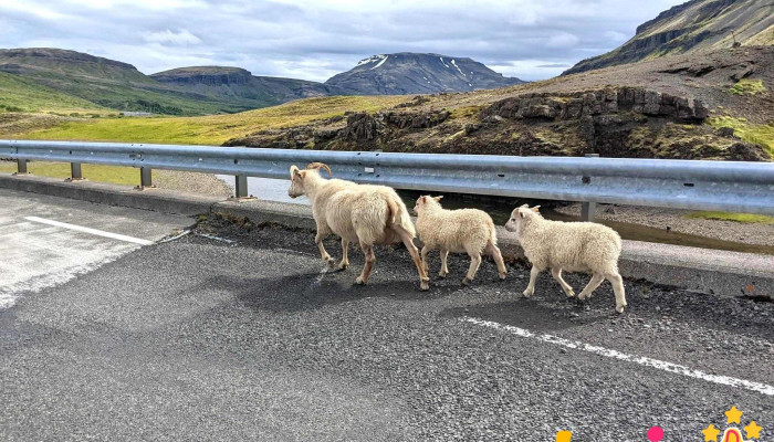 Afon Botnsá - Ísland