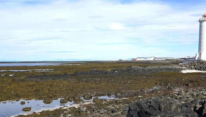 Akranesviti -  Verð - Akranes