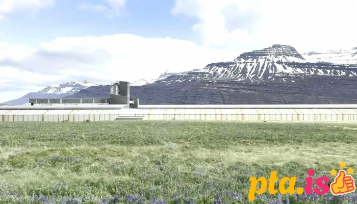 Alcoa Fjardaal Myndskeid - Fjarðabyggð