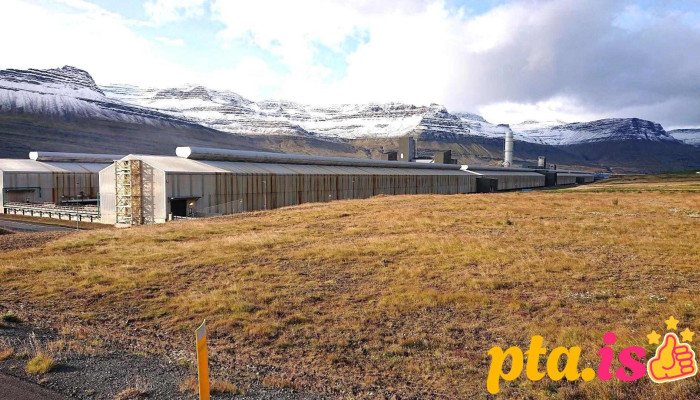 Alcoa Fjarðaál - Fjarðabyggð