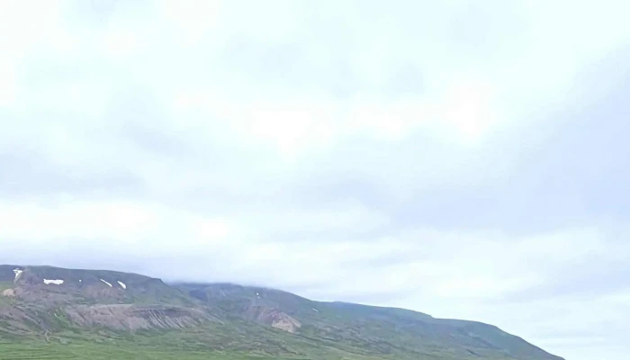 Alfaborg Umsagnir - Bakkagerði