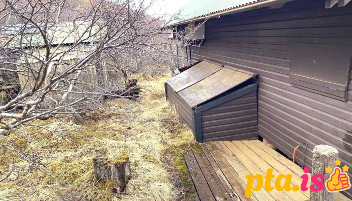 Alfasel Skataheimili - Úlfljótsvatn