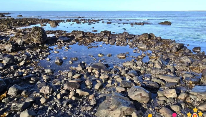 Alftanes -  Nyjast - Iceland