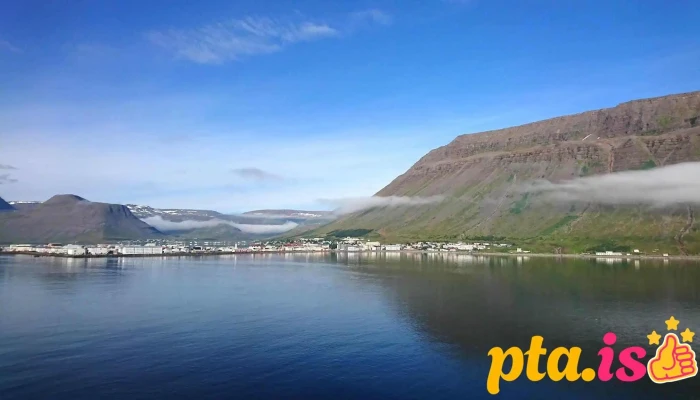 Amazing Westfjords Ehf -  Ferðaþjonustufyrirtæki - Ísafjörður