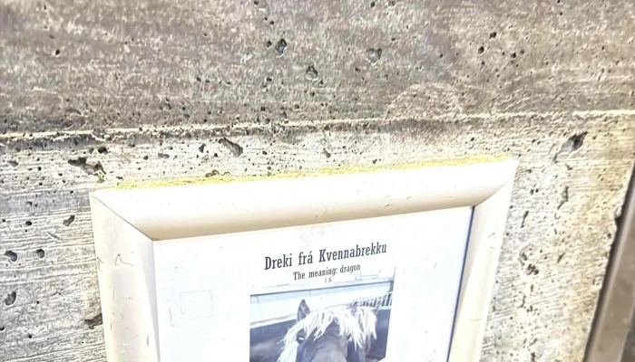 Arctic Adventures -  Nalægt Mer - Reykjavík