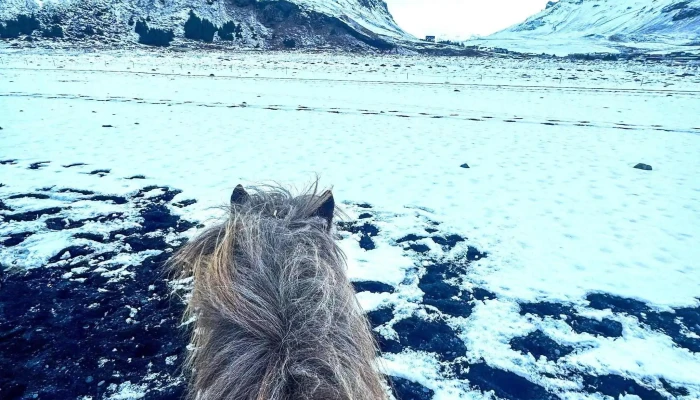 Arctic Adventures -  Numer - Reykjavík