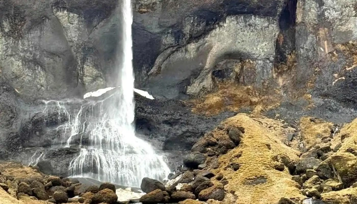 Arctic Adventures -  Nyjast - Reykjavík