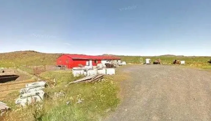 Arctic Horses -  Street View 360 - Grindavík