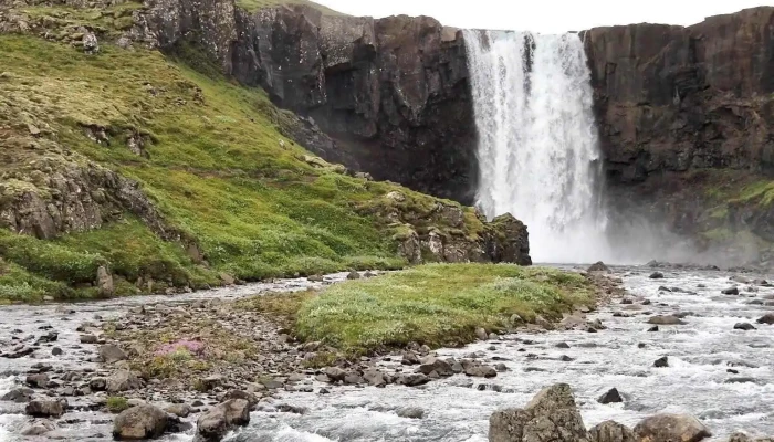 Arctic Shorex -  Ferðaþjonustufyrirtæki - Ísafjörður