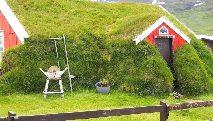 Arctic Shorex -  Simi - Ísafjörður