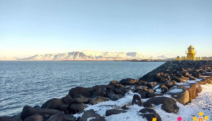 Armann Iþrottir - Reykjavík