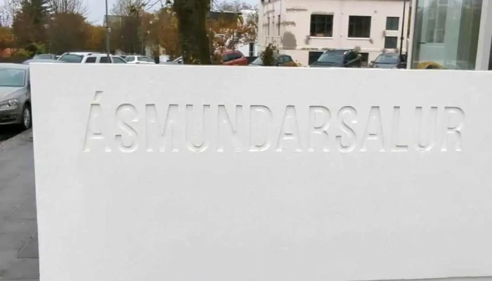 Asmundarsalur Myndskeid - Reykjavík