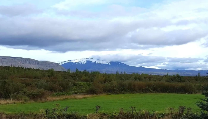 Asolfsstadir Midholl Opið Nuna - Selfoss