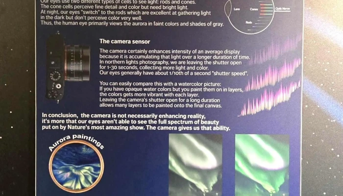 Aurora Reykjavik   The Northern Lights Center Instagram - Reykjavík