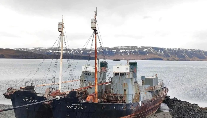 Beached Whalers Hvalfjordur Svæði - 47