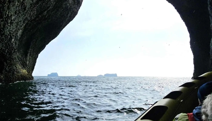 Beluga Sanctuary -  Aætlun - Vestmannaeyjabær