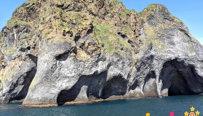 Beluga Sanctuary -  Friðland - Vestmannaeyjabær