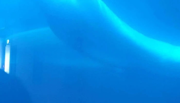 Beluga Sanctuary -  Hvar - Vestmannaeyjabær