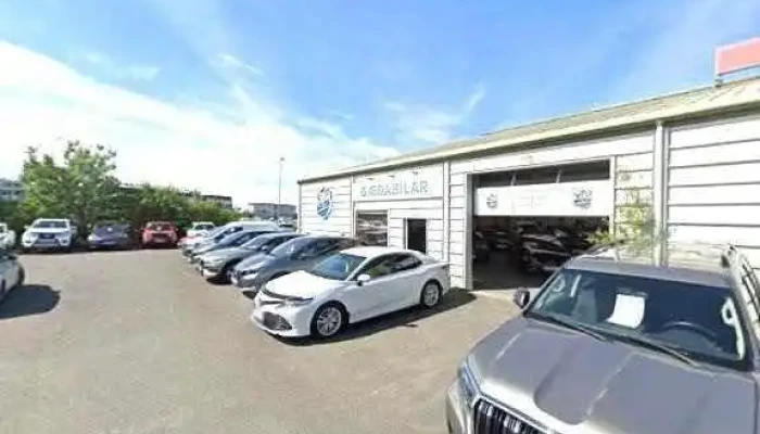Bilaforritun Leitavelabestun Seo - Reykjavík