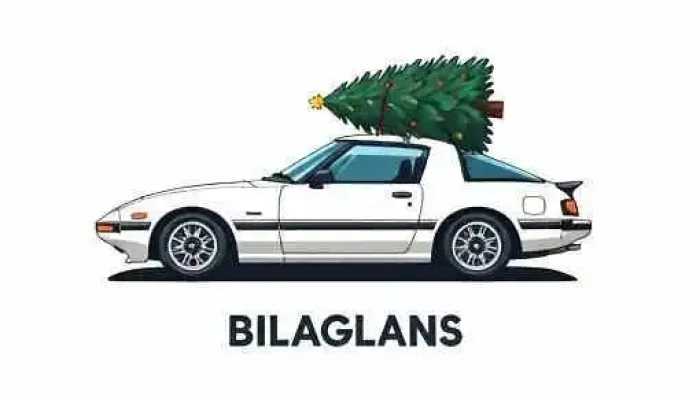 Bílaglans - 260 Njarðvík