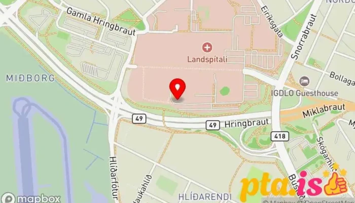 Bilastaedi Fyrir Hreyfihamlada Kort - Reykjavík