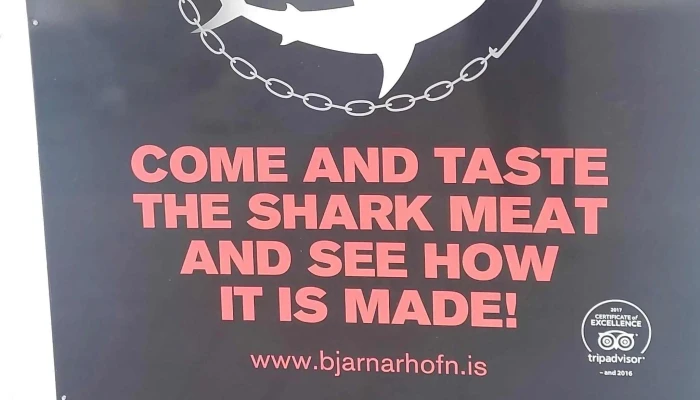 Bjarnarhofn Shark Museum Nalægt Mer - Bjarnarhöfn