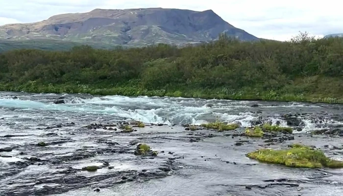 Blaskogabyggd Sveitarfelag Reykholt - Reykholt