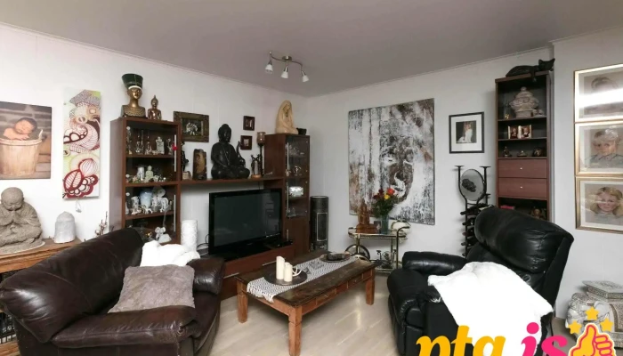 Blomasetrid Homestay Fra Eiganda - Borgarnes