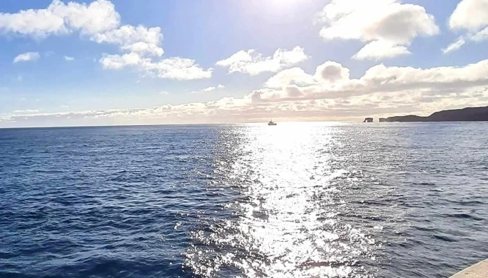 Boat Tours In Vestmannaeyjar -  Heimilisfang - Vestmannaeyjabær