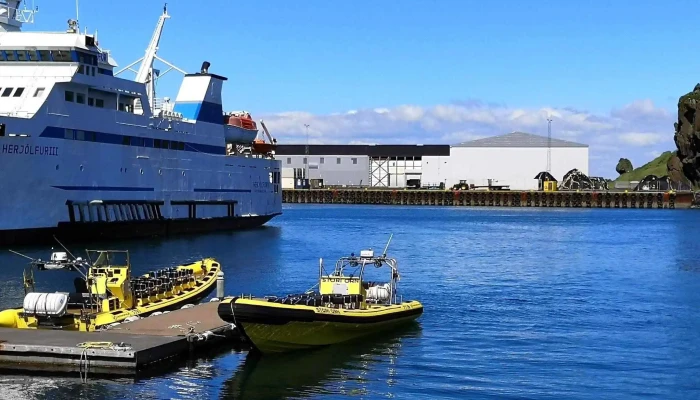 Boat Tours In Vestmannaeyjar -  Numer - Vestmannaeyjabær