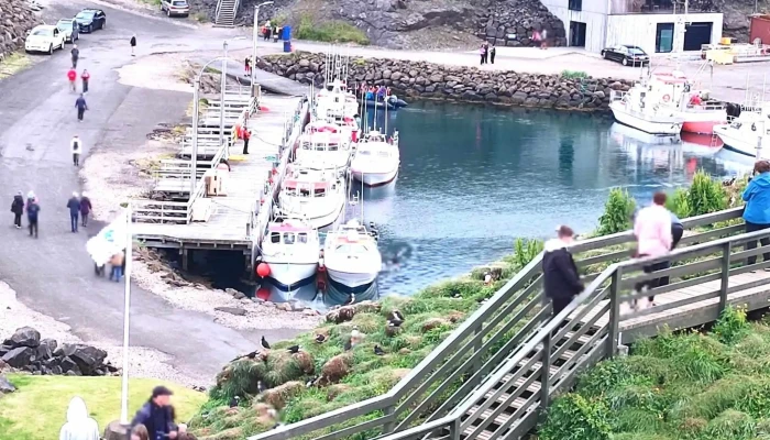 Borgarfjardarhofn Einkunn - Bakkagerði