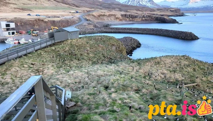 Borgarfjardarhofn Myndskeid - Bakkagerði