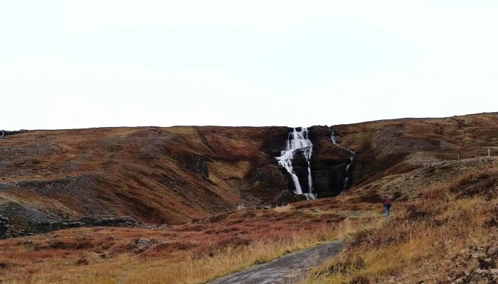 Breiddalsvik Utsyni Afslættir - Þjóðvegur