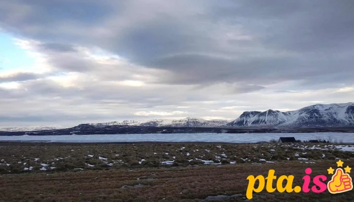 Bruin Yfir Jokulsa A Fjollum Fjall - Mývatnsöræfi