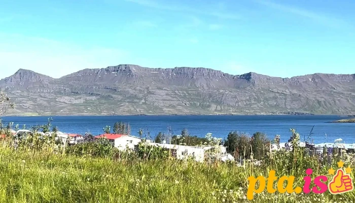 Campeast   Neskaupstadur Fra Gestum - Neskaupstaður