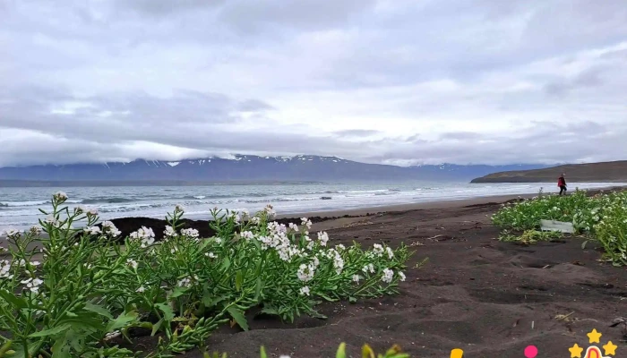 Dalvik Beach -  Almenningsgarður - Dalvík