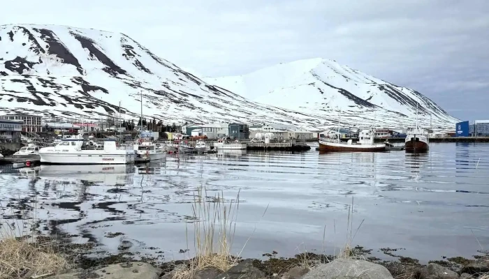 Dalvik Beach -  Fjall - Dalvík