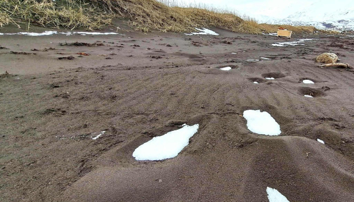 Dalvik Beach -  Numer - Dalvík
