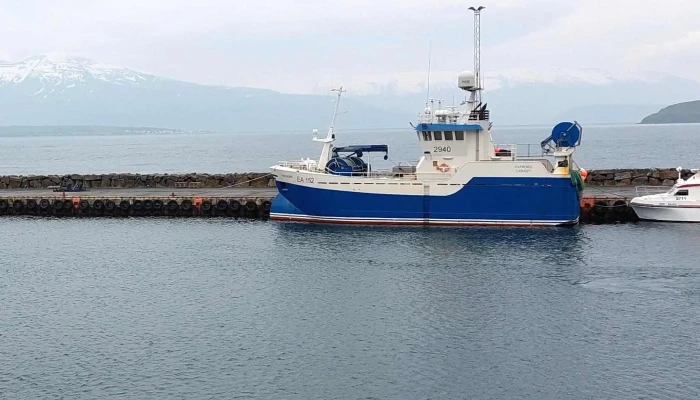 Dalvik Ferry To Grimsey Island -  Nalægt Mer - Dalvík