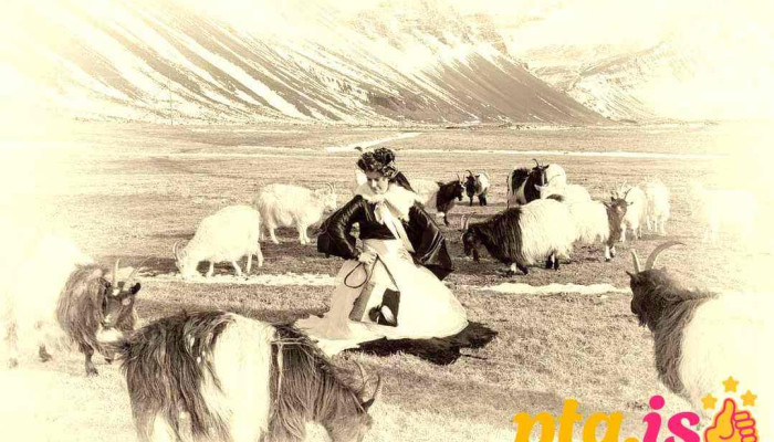 Dokk Iceland -  Fra Eiganda - Höfn Í Hornafirði