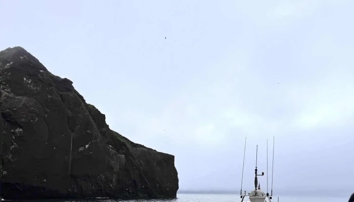 Drangey Tours -  Heimilisfang - Sauðárkrókur