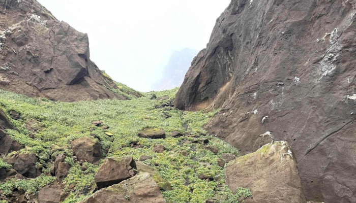 Drangey Tours -  Sauðarkrokur - Sauðárkrókur