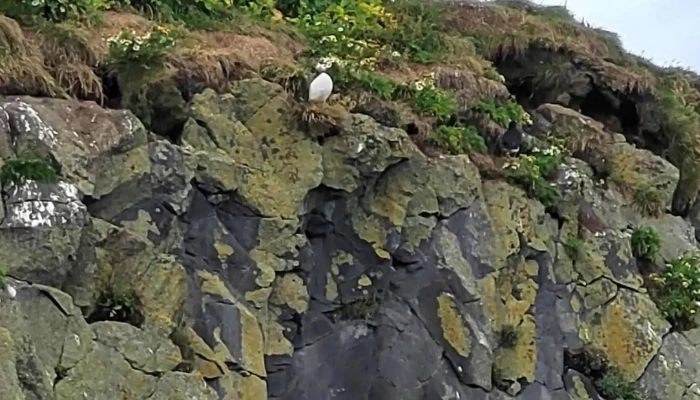 Dyrholaey Reynisfjara Viewpoint - Vacio