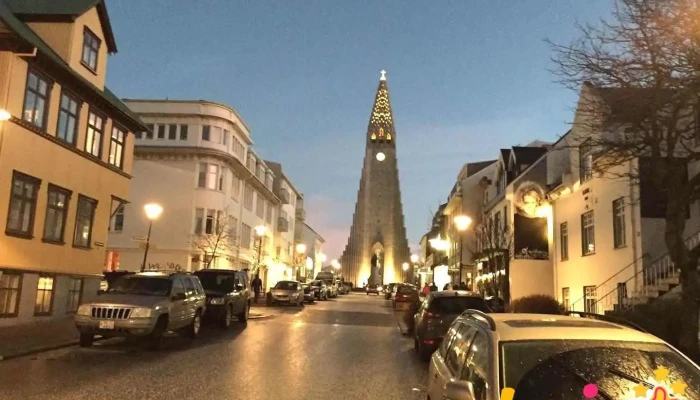 Dýralæknastofa Dagfinns - Reykjavík