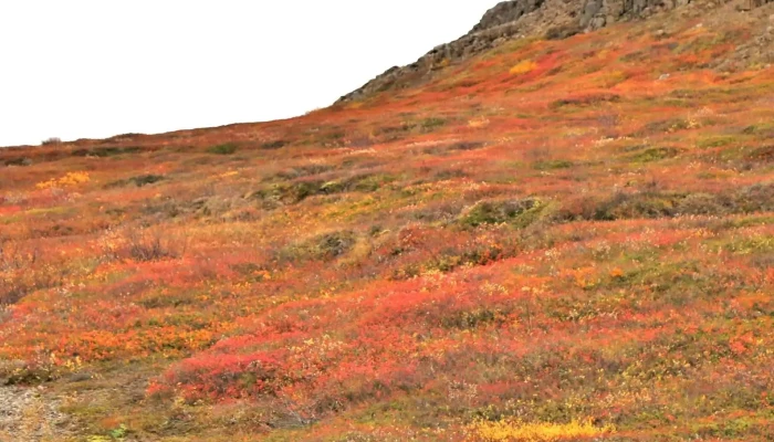 Egilsstadir Utsynisstadur Nalægt Mer - 93