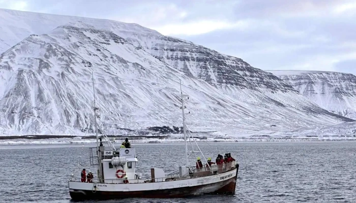 Elding Hvalaskodun Akureyri Einkunn - Akureyri