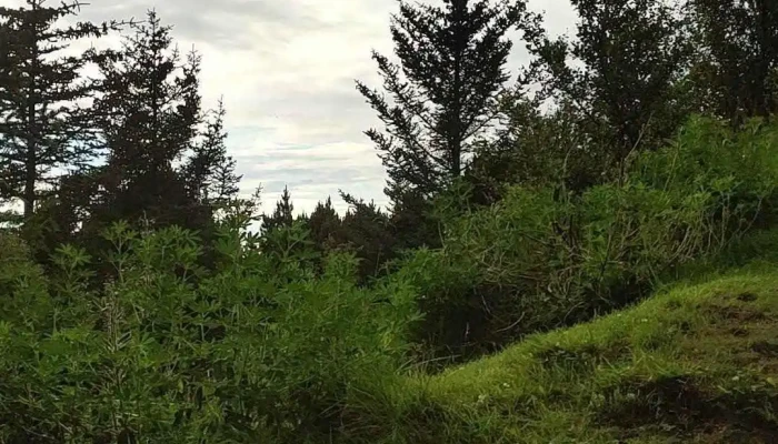 Eldsneytisgeymsla Fra Seinna Stridi Myndskeid - Reykjavík
